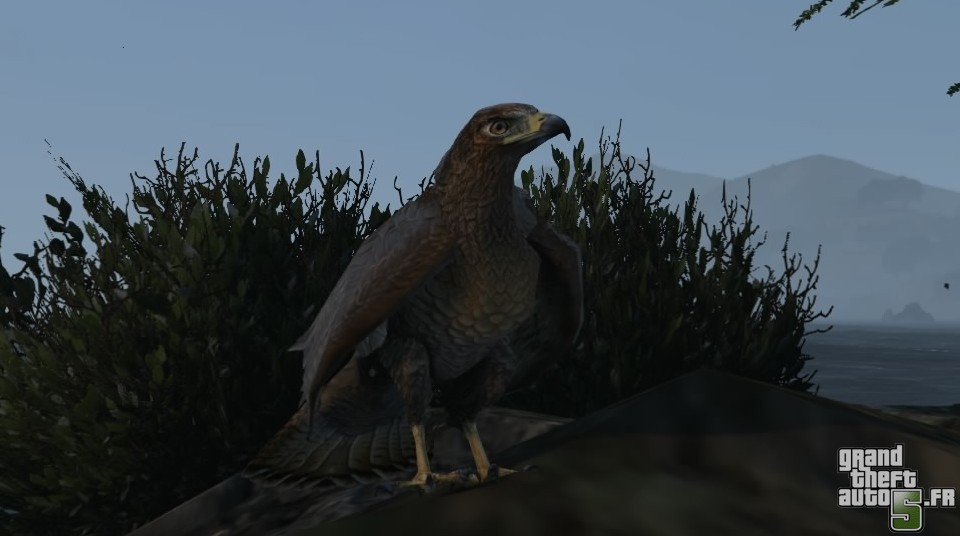 quels sont les animaux dans gta 5