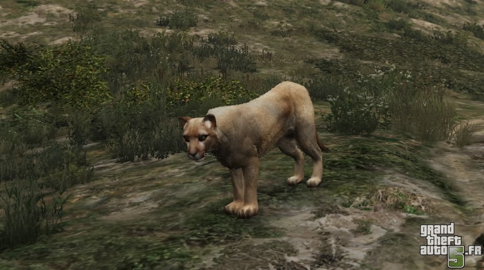 quels sont les animaux dans gta 5