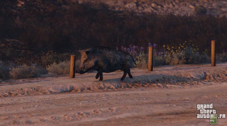 quels sont les animaux dans gta 5