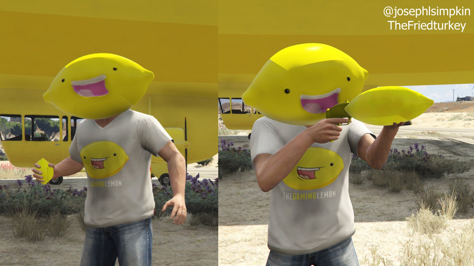 Lemon Bomb + Lemon Gun