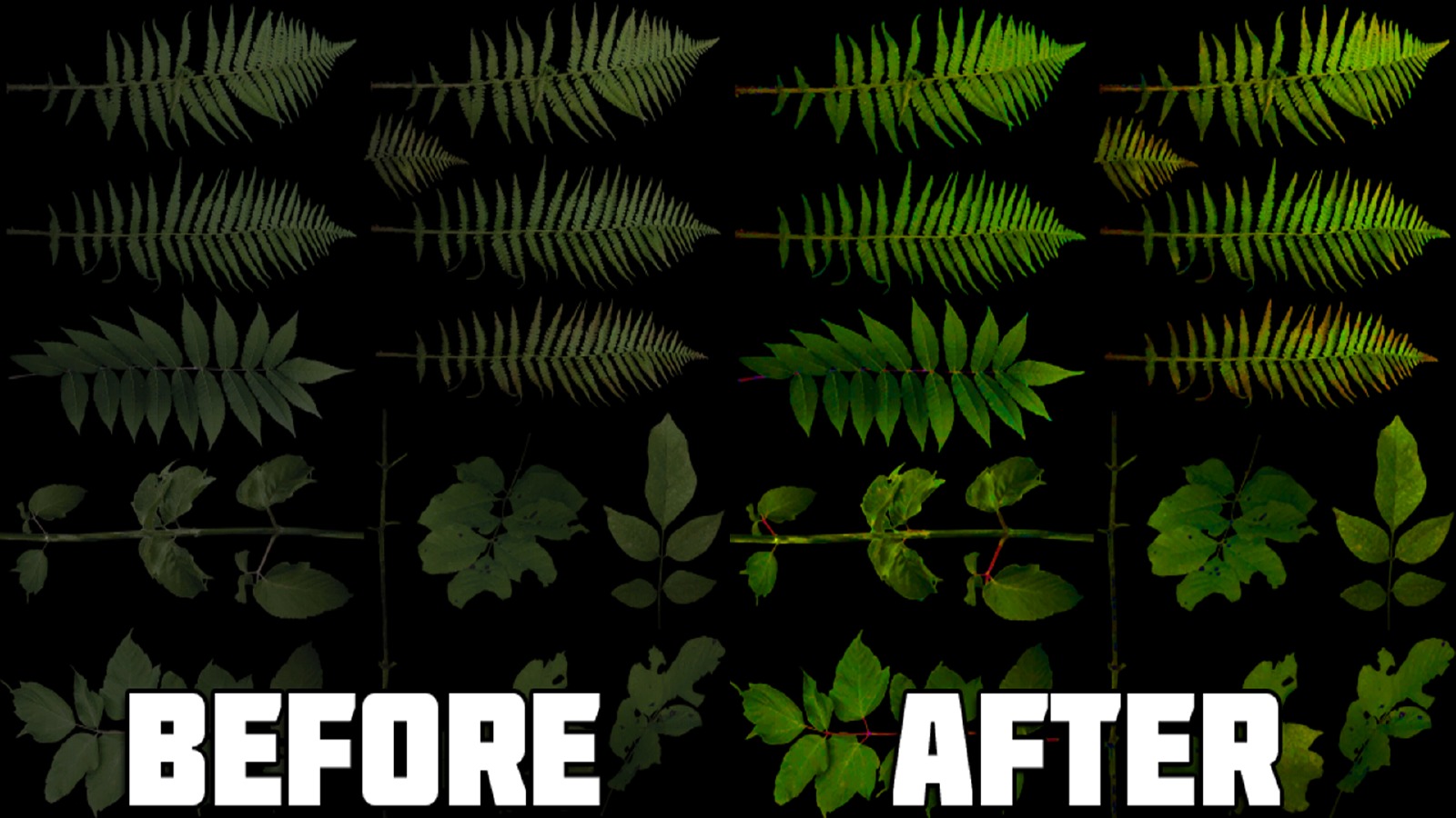 Vegetation Overhaul