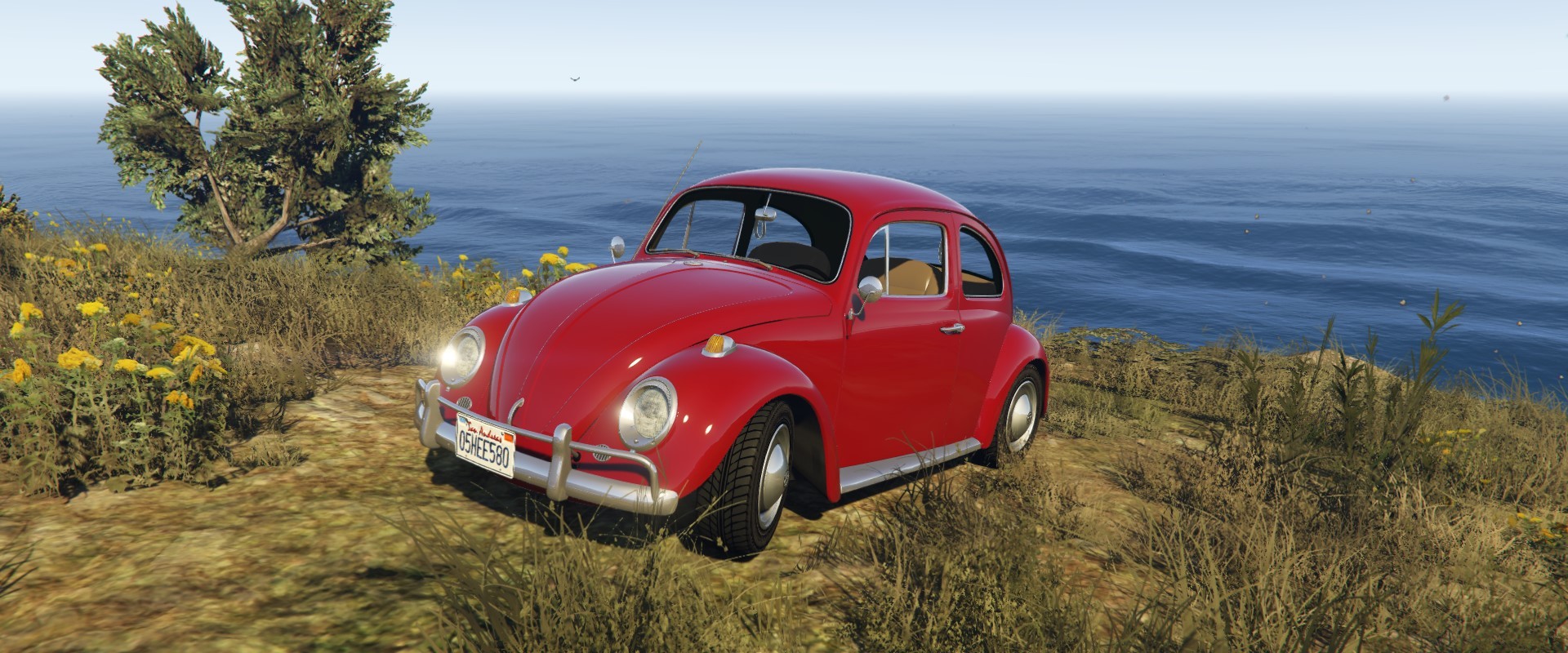 Volkswagen Beetle 1G & Herbie