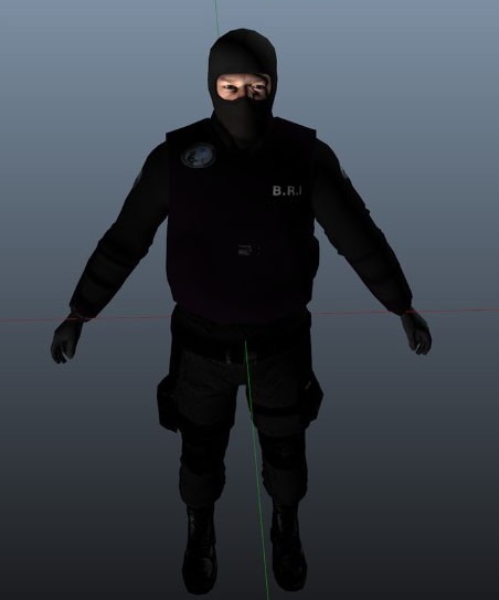 BRI Texture for SWAT