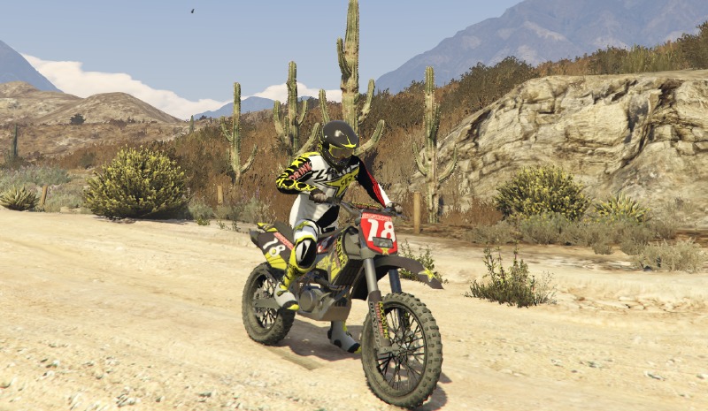 Rockstar Energy Motocross Skin + Helmet