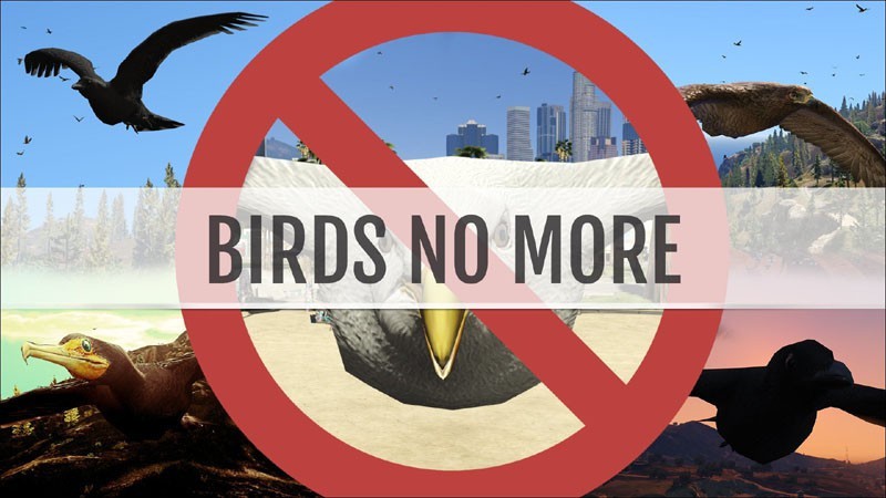 Birds No More
