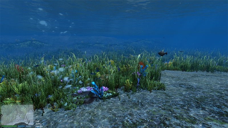 Improved Underwater Wildlife