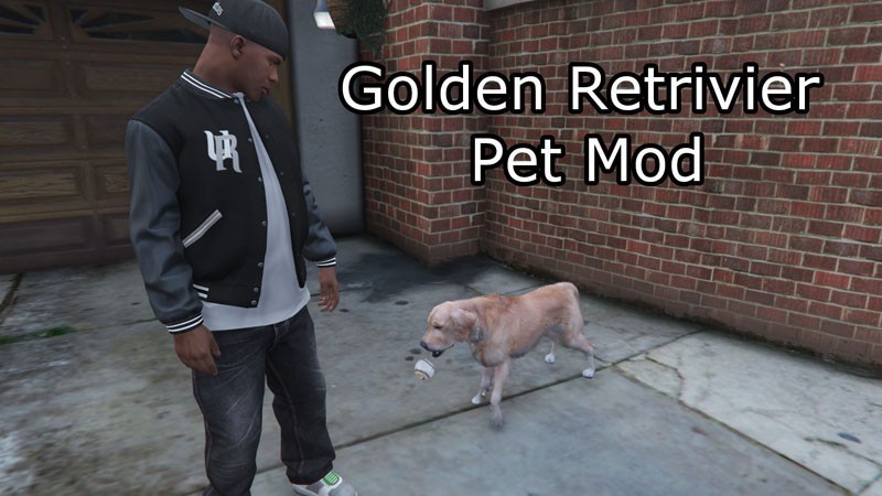 Golden Retriever Pet Mod