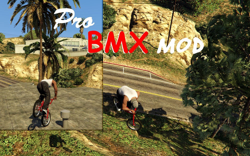 Pro BMX Mod