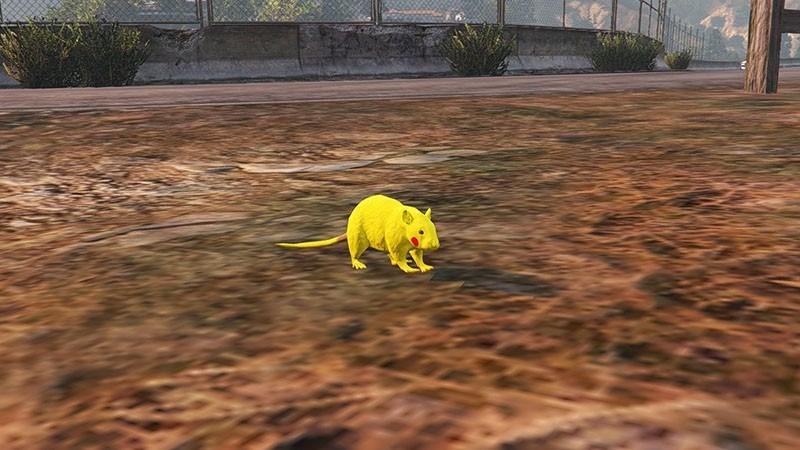 Pikachu - Rat Skin