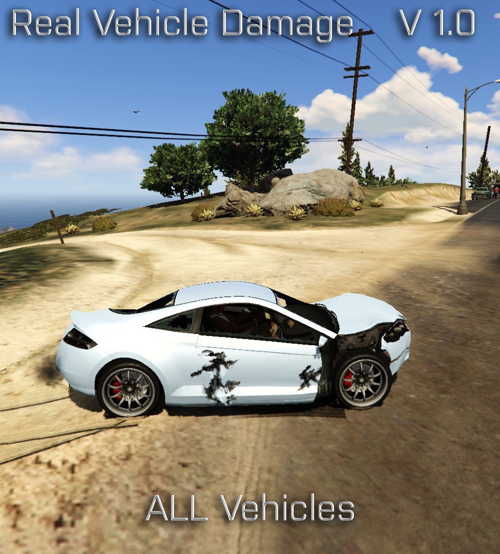 Real Vehicle Damage
