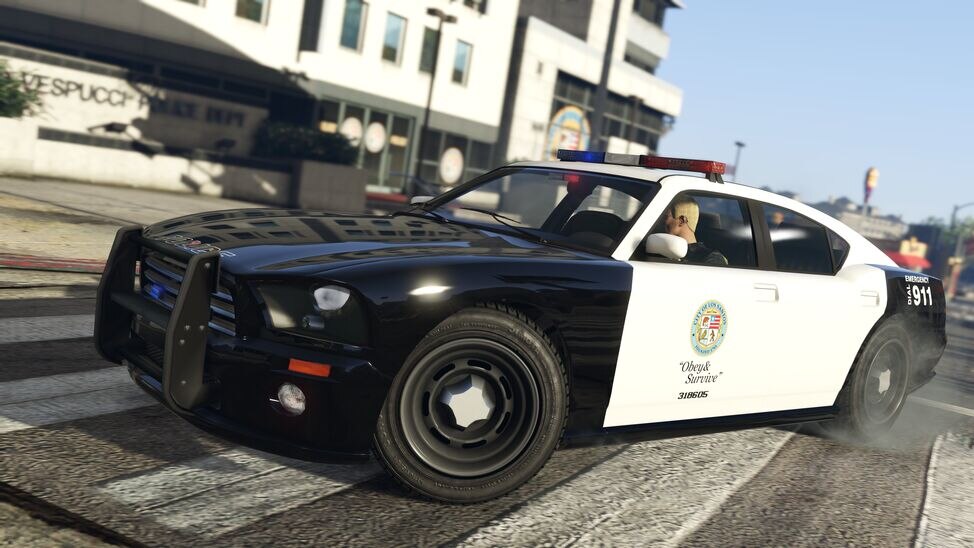 police-cruiser2.jpg