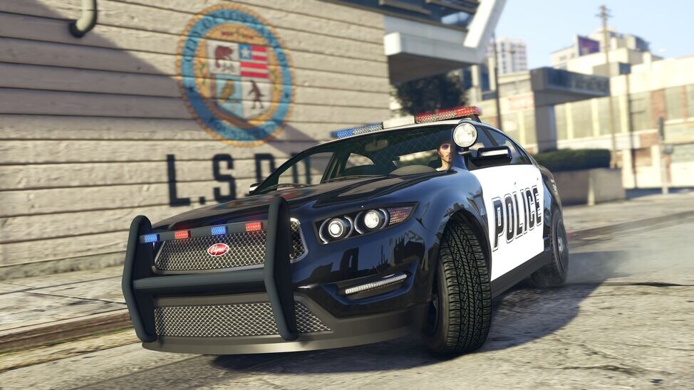 police-cruiser3.jpg